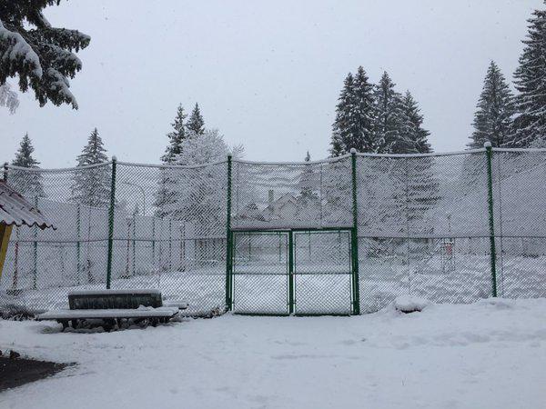 La préparation d'Halep ralentie par la neige 