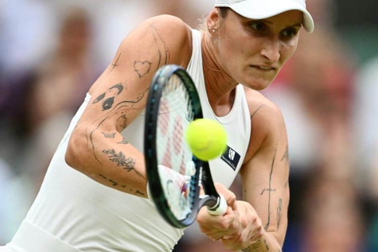 Vondrousova abandonne en pleurs à Adélaïde face à Shnaider