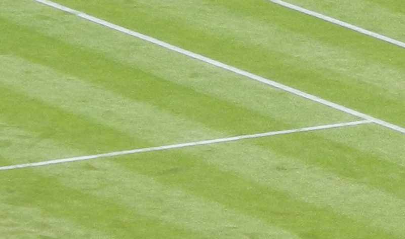 Wimbledon 2017, c'est parti 