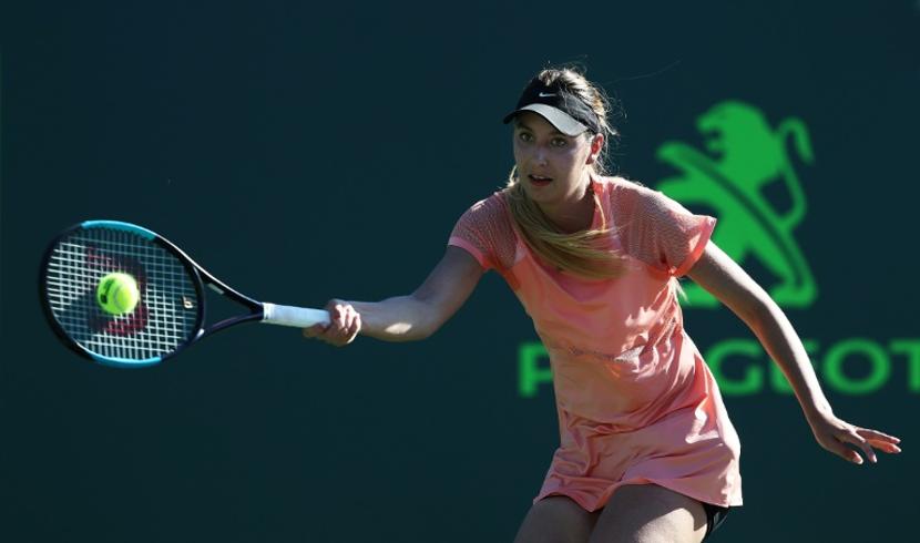 Dodin va faire son retour