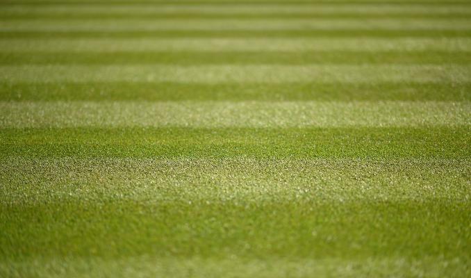 Wimbledon - Kvitova, tenante du titre, avec Halep, Wozniacki, Kerber, Radwanska, Bouchard, Bacsinszky, Lisicki et Cornet en bas du tableau.