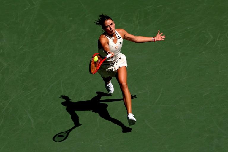 Stats - Navarro, une révélation en 2024 