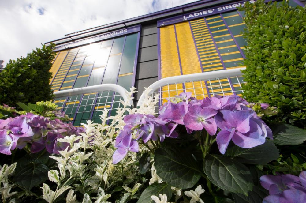 Le tirage au sort de Wimbledon a été effectué ce matin à 10h (11h heure française)
