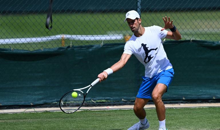 Djokovic, Murray, Raducanu, Alcaraz, Kerber, Sinner face à Wawrinka, Kontaveit, Hurkacz, Jabeur ou Ruud ouvrent le bal ce lundi à Wimbledon.