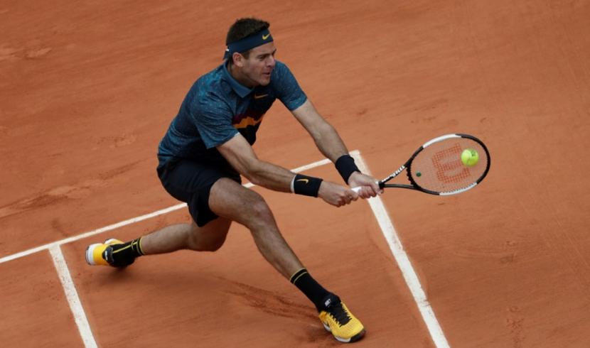 Del Potro s'en sort face à Nishioka 