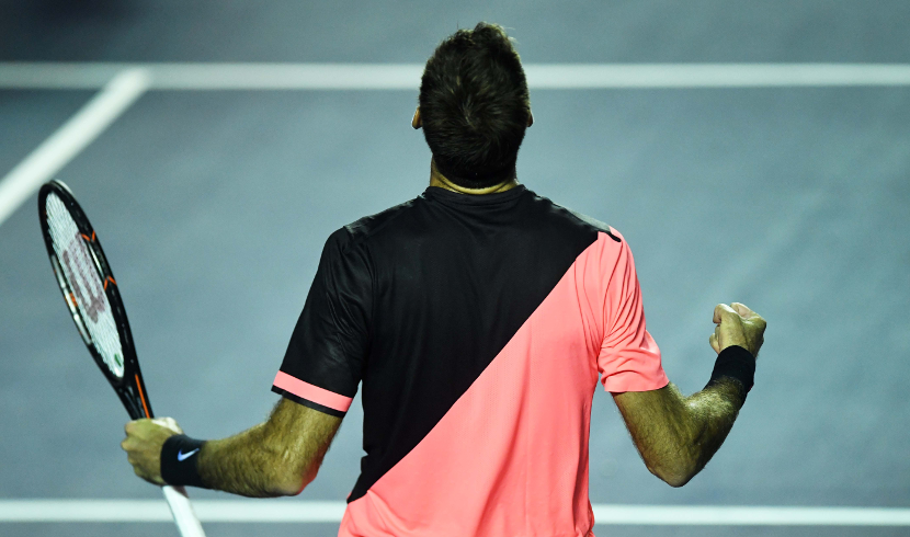 Del Potro confirme sa forme du moment en croquant A