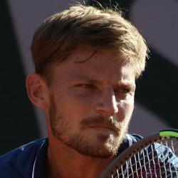 David Goffin